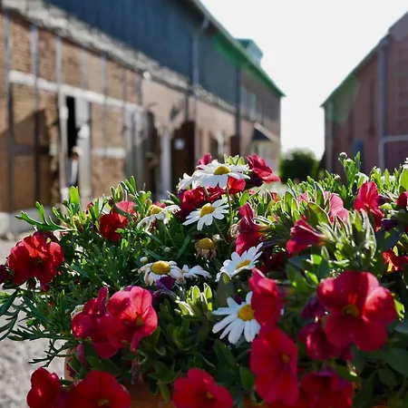 Knusthof Lafrenz - Brueckenblick *